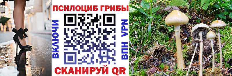 Галлюциногенные грибы MAGIC MUSHROOMS  Луховицы 